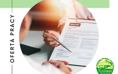 Oferta Pracy – szukamy stażystki/stażysty