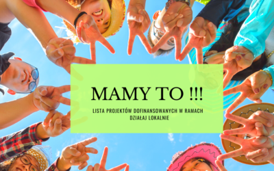 Lista projektów dofinansowanych w ramach „DZIAŁAJ LOKALNIE”