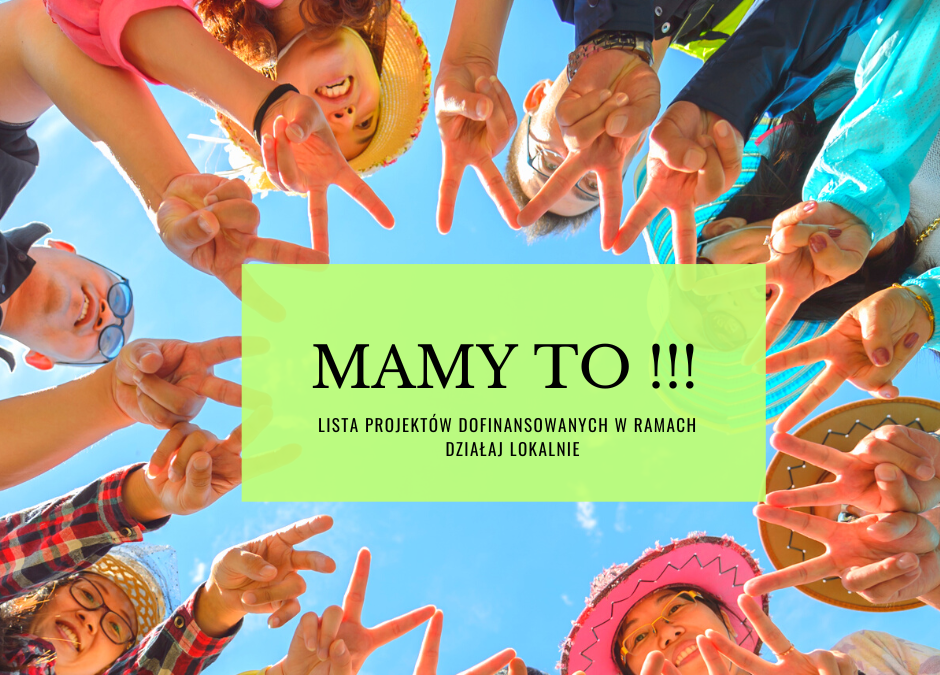 Lista projektów dofinansowanych w ramach „DZIAŁAJ LOKALNIE”