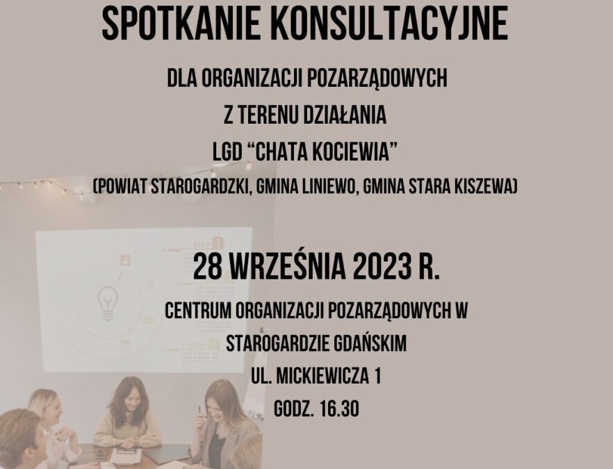 Debiuty w Partycypacji- spotkanie konsultacyjne