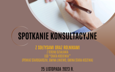 Debiuty w Partycypacji – Spotkanie Konsultacyjne