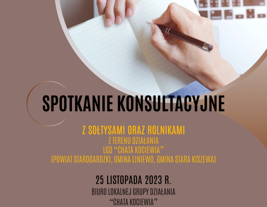 Debiuty w Partycypacji – Spotkanie Konsultacyjne