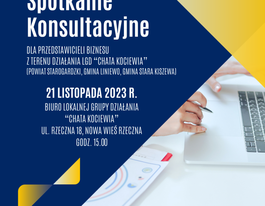 Debiuty w Partycypacji – Spotkanie Konsultacyjne