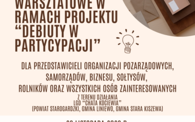 Debiuty w Partycypacji – Spotkanie Warsztatowe